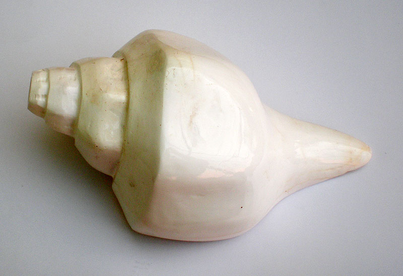 Large Blowing Conch Shell (Architectured) -- 9